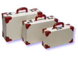 White Vinyl Suitcase Set
