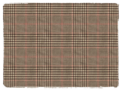 Fabric Swatch