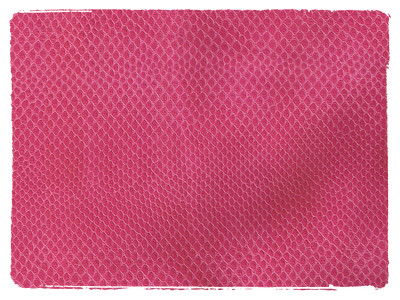 Fabric Swatch