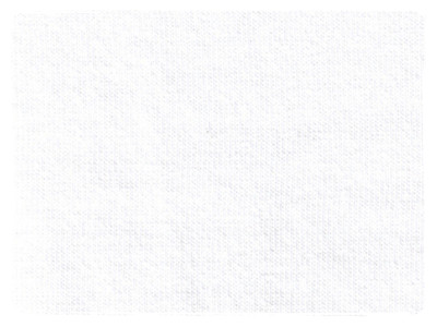 Fabric Swatch