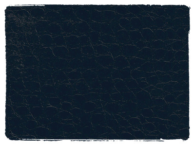 Fabric Swatch