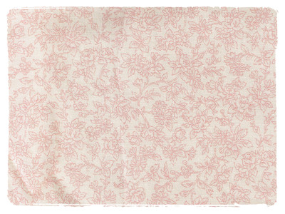 Fabric Swatch