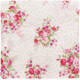 Fabric Swatch
