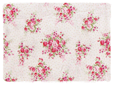 Fabric Swatch
