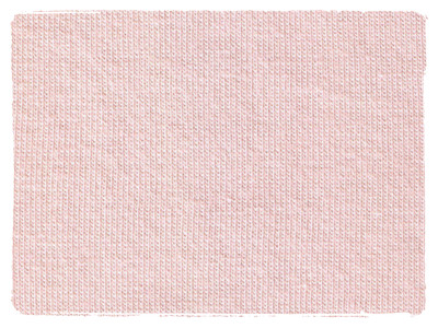 Fabric Swatch