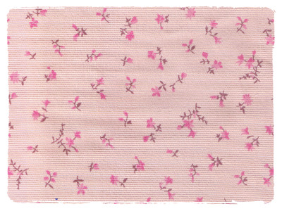 Fabric Swatch