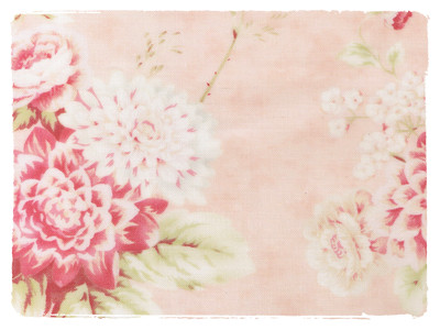 Fabric Swatch