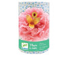 Djeco Create Tissue Flowers - Eugenie