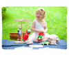 Papillon Family Picnic Blanket