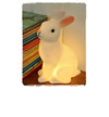Rabbit Night Light