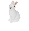Rabbit Night Light